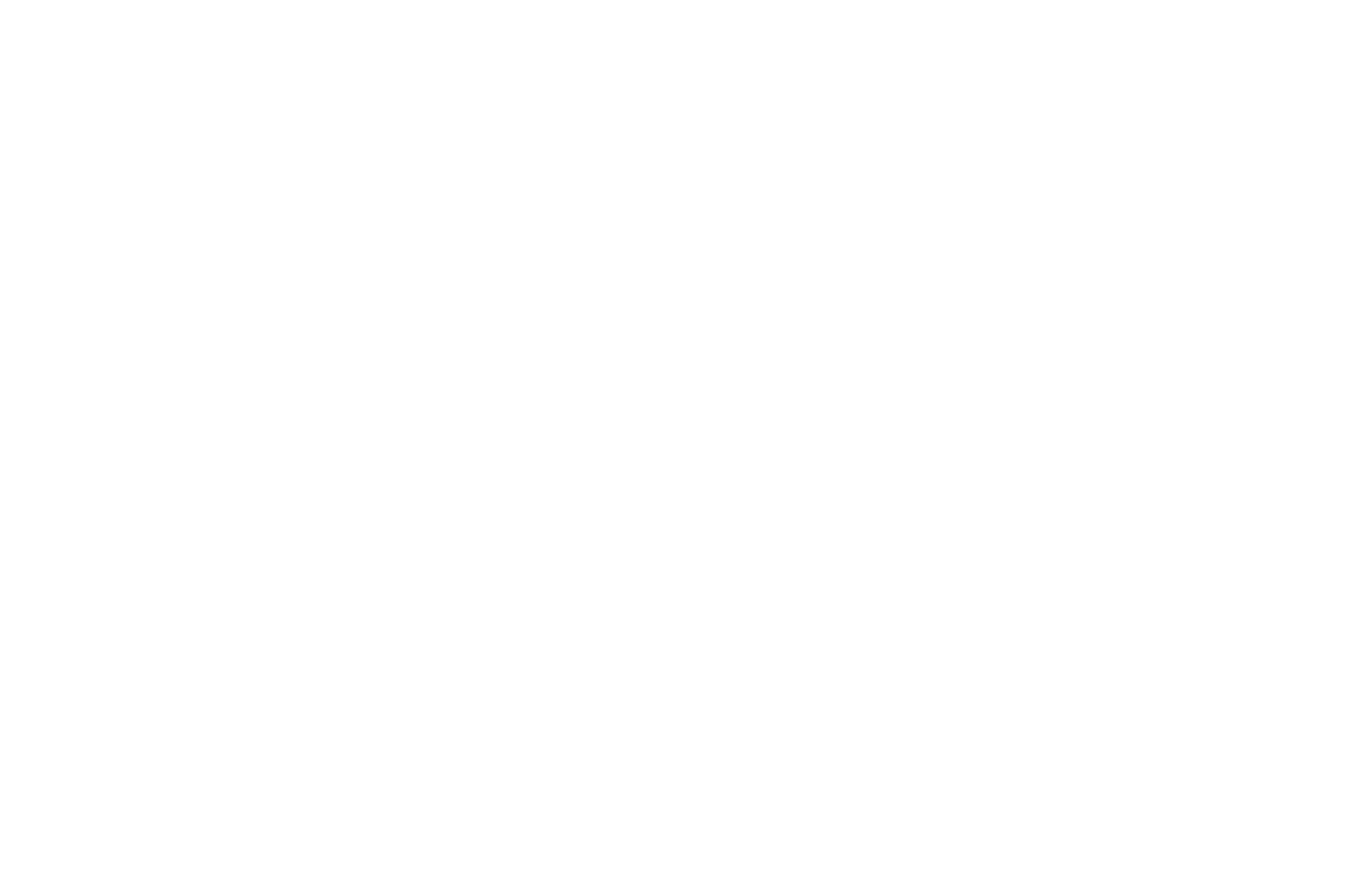 Metaphoric Mind logo