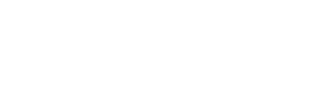Pavic logo